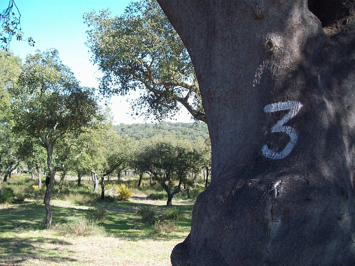 2009_portugal 215